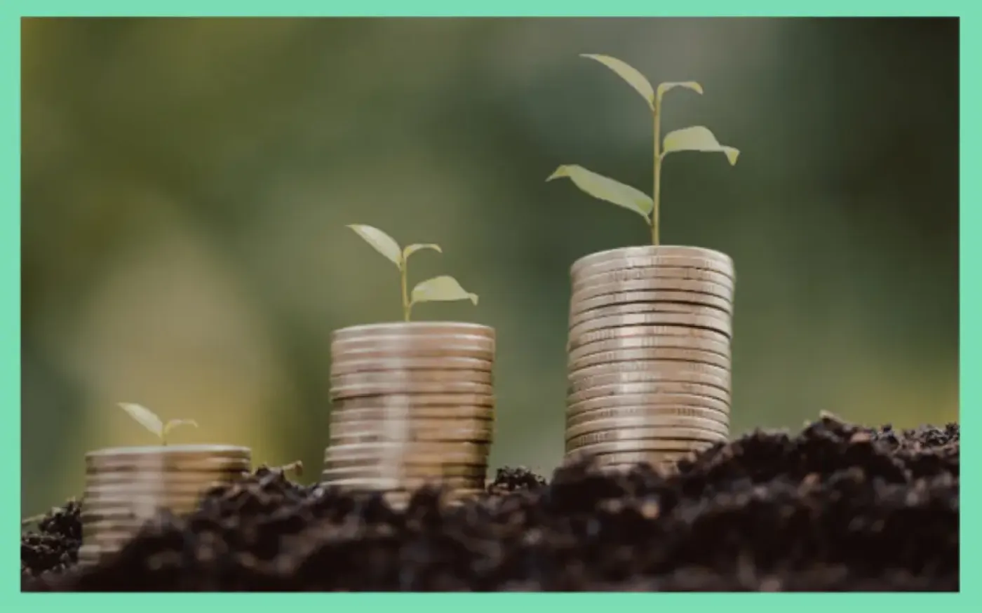 The Fidelis Monthly Newsletter – Built With You in Mind